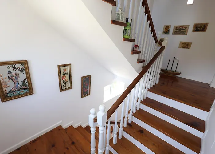 Baza - Swimming Pool